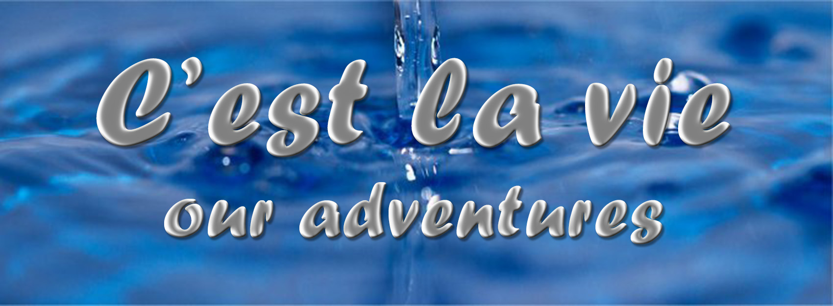 The C'est la vie Blog